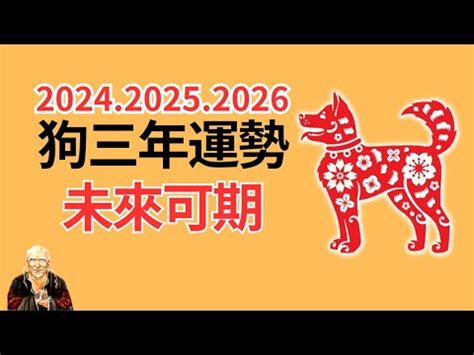 2023狗年運程1982感情